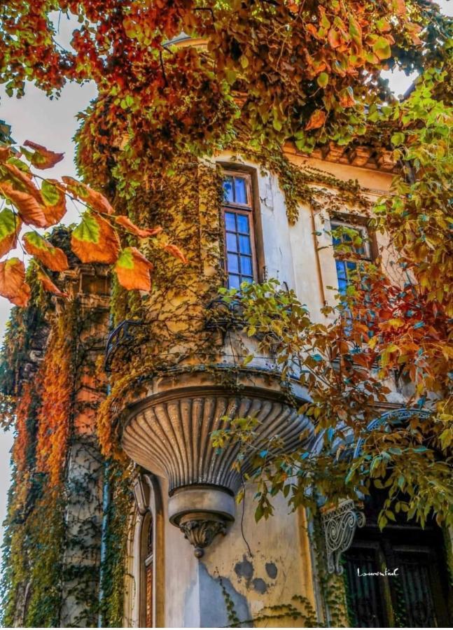 Charming Place Cotroceni Bukareszt Zewnętrze zdjęcie