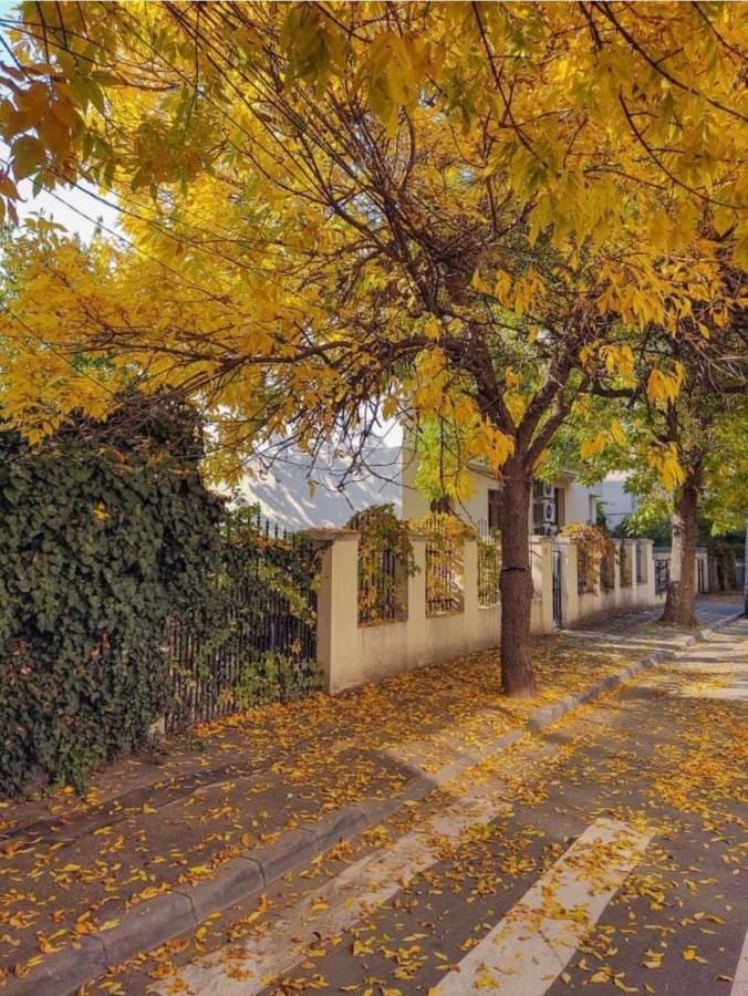 Charming Place Cotroceni Bukareszt Zewnętrze zdjęcie